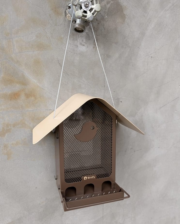 Customer photo review of Birdfy Feeder Metal V - Smart Metal Feeder with Camera
