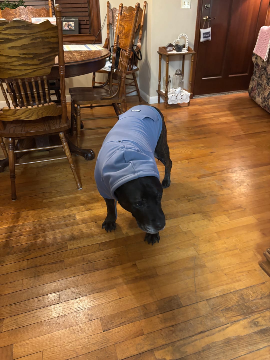 Customer photo review of Essential Human Hoodie - Slate Blue