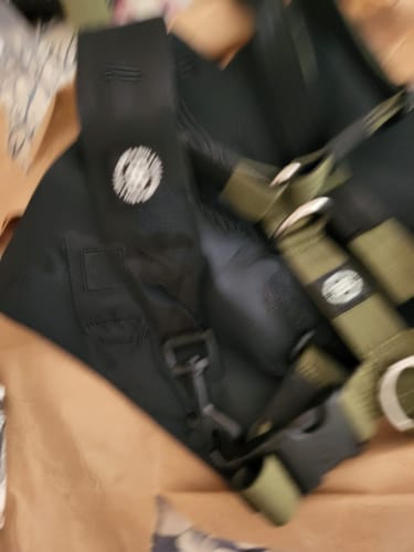 Customer photo review of Harness Seat Belt Safety Strap