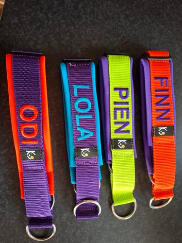 Customer photo review of Neoprene Half-Check Dog Collar with Name - XL | 4Kyon