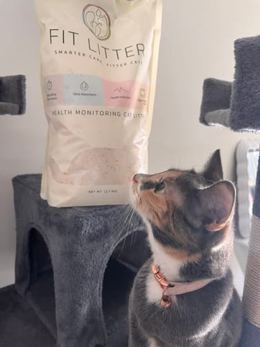 Customer photo review of 1 Month Supply – 1 Cat