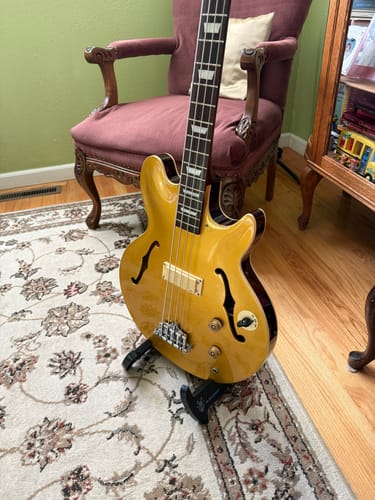 Customer photo review of BunnyNest A-Frame Guitar Stand – Collapsible, Lightweight, Portable, & Universal for Acoustic, Electric, and Bass Guitars