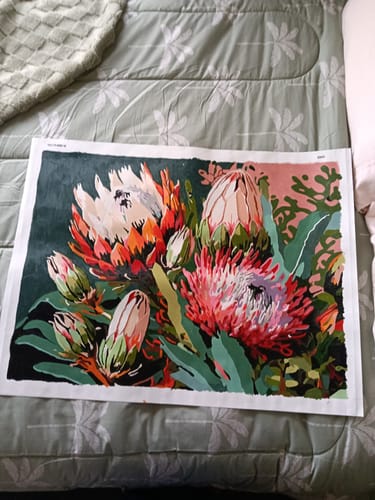 Customer photo review of Proteas V