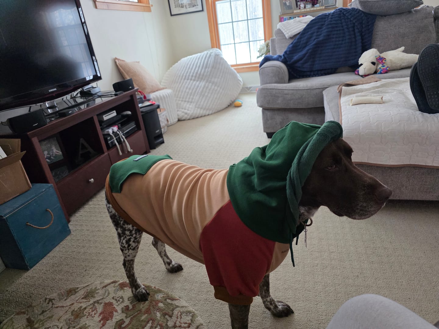 Customer photo review of Ranger Dog Hoodie