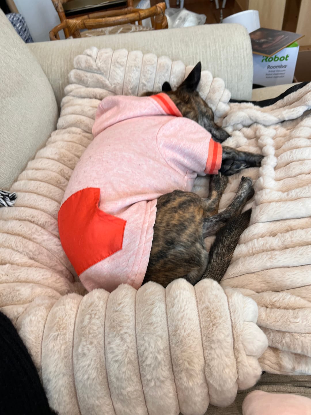 Customer photo review of Luxury Couch Cover Dog Bed - Beige
