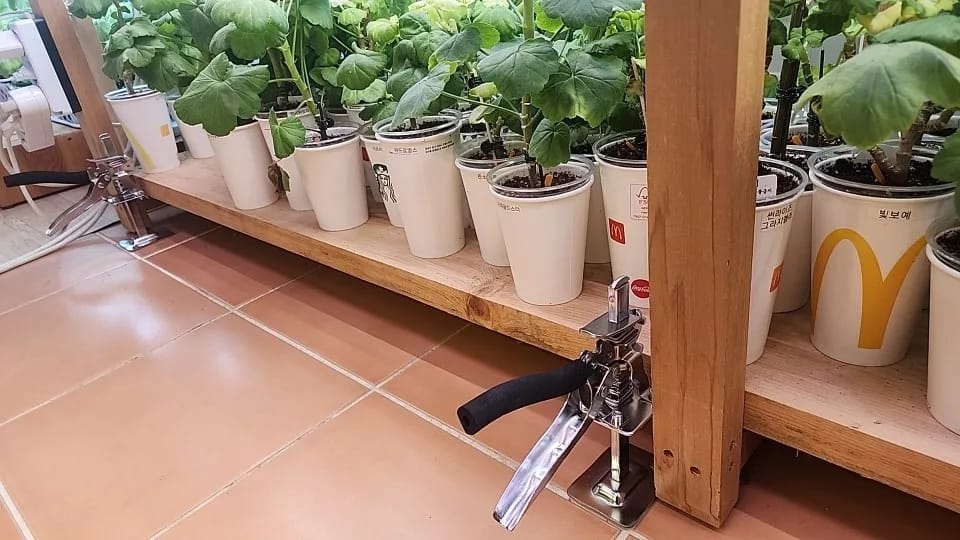 Customer photo review of ProLift Jack™