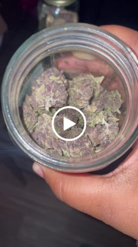 Customer video review of Tropicana Cherry THCA Flower