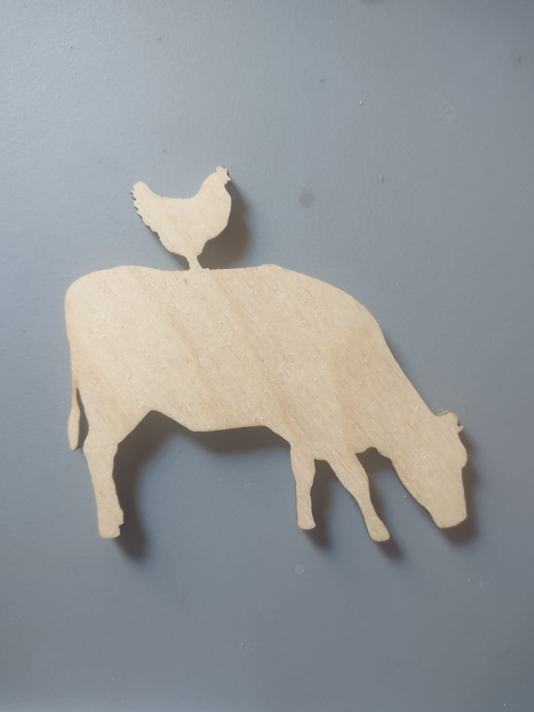 Customer photo review of Unfinished Wood Cow Chicken Shape - Craft - up to 46" DIY
