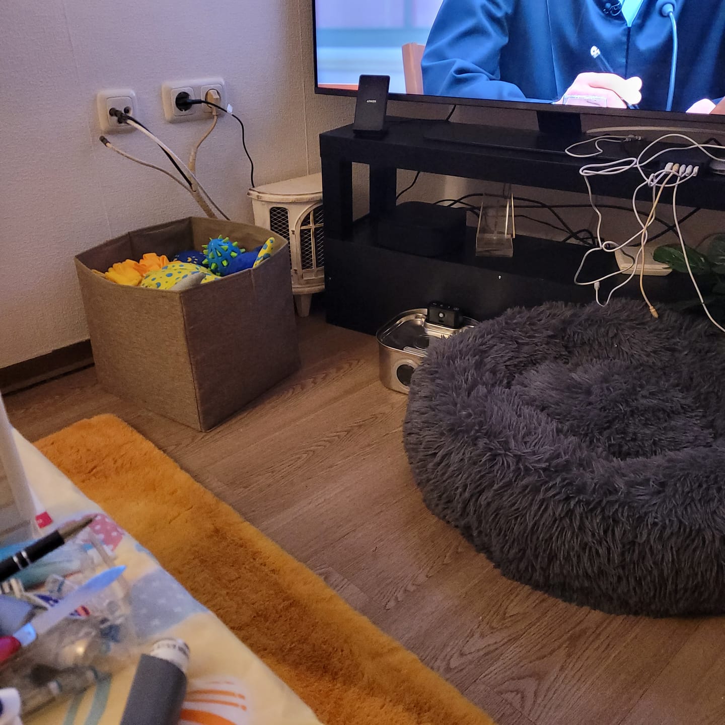 Customer photo review of PfotenBrunnen™ - Katzenwasserspender