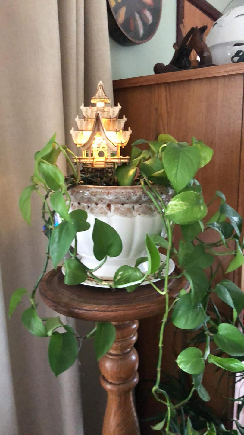 Customer photo review of Temple of Joy
