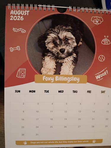 Customer photo review of Official Pupvote Cutest Pets of the Year Calendar (2026)