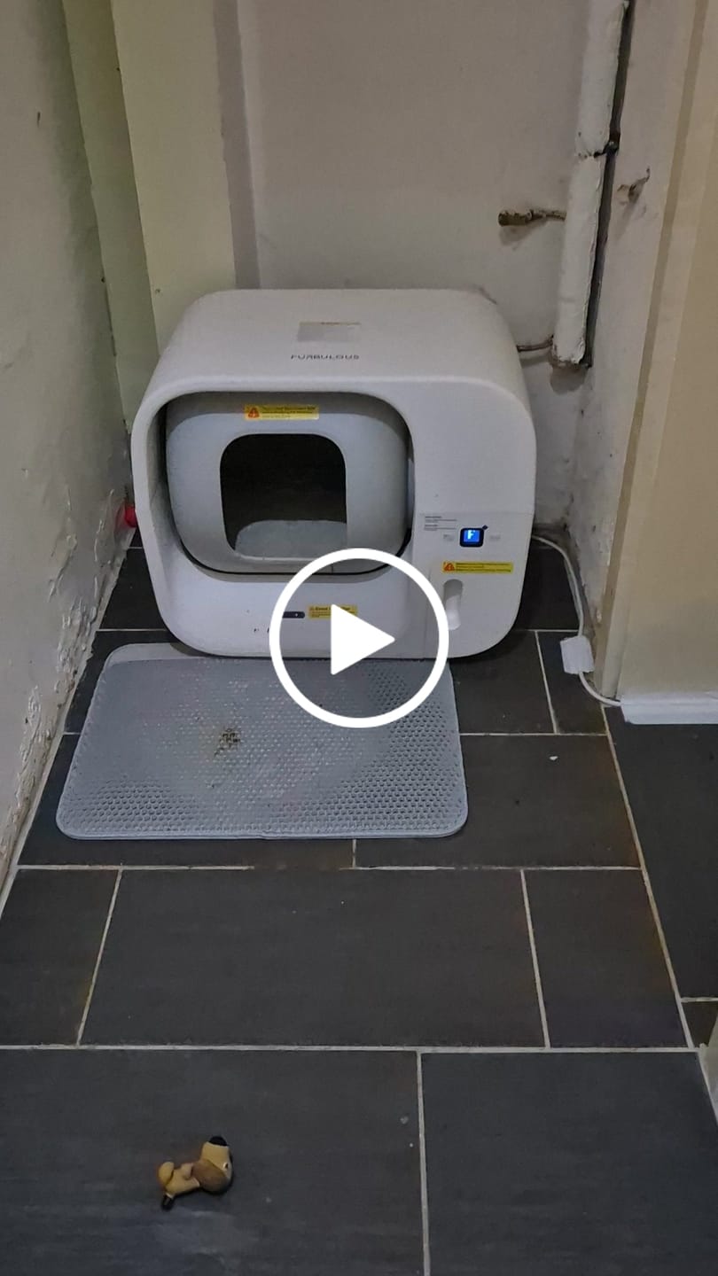 Customer video review of Furbulous Trash Bag Box