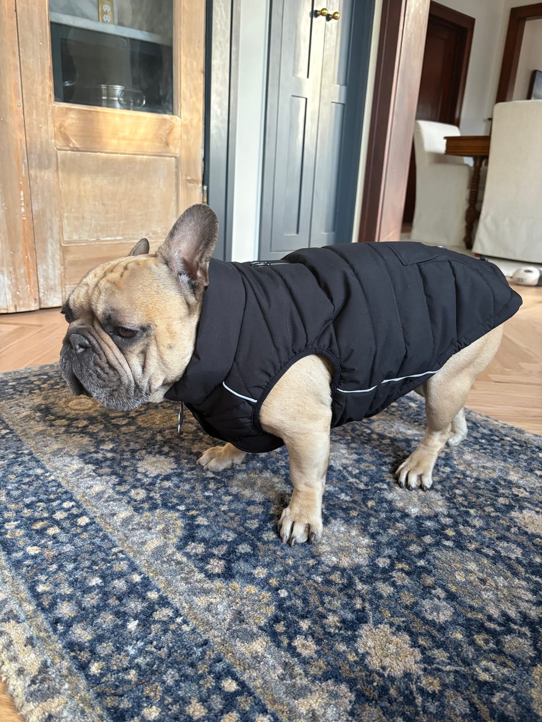 Customer photo review of WarmShield Water-Resistant Jacket - Black