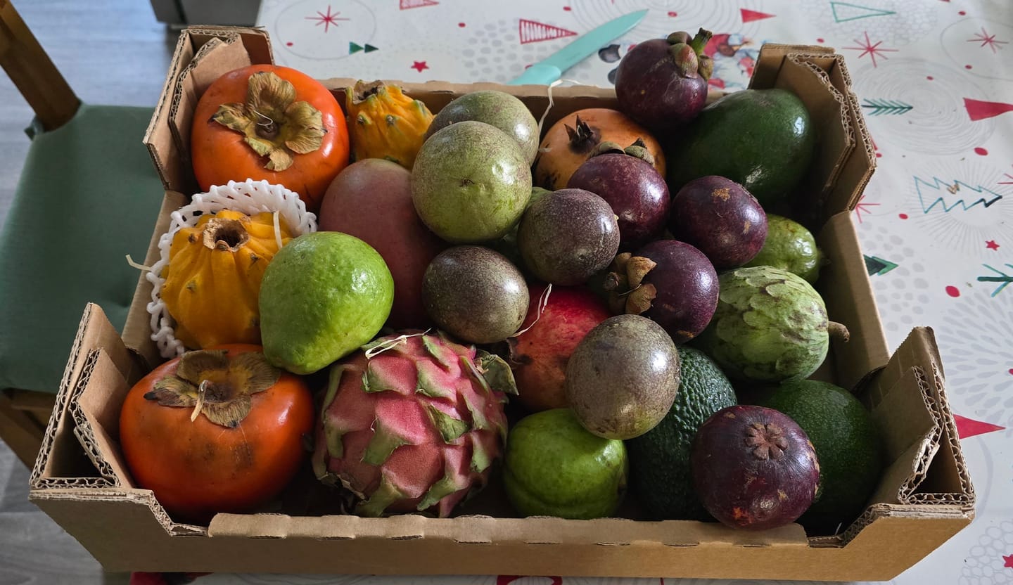 Customer photo review of Julian’s exotische Paradiesbox