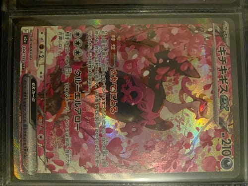Customer photo review of Pokemon Mega Dream ex Booster Box M2a (Ships Jan 14th-16th)