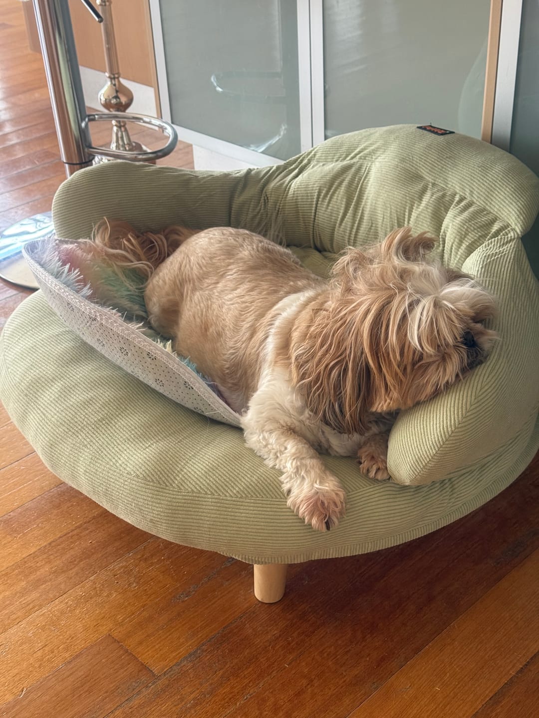 Customer photo review of CloudNest Elevated Pet Sofa Bed
