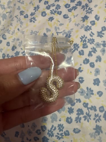 Customer photo review of Collar Fame