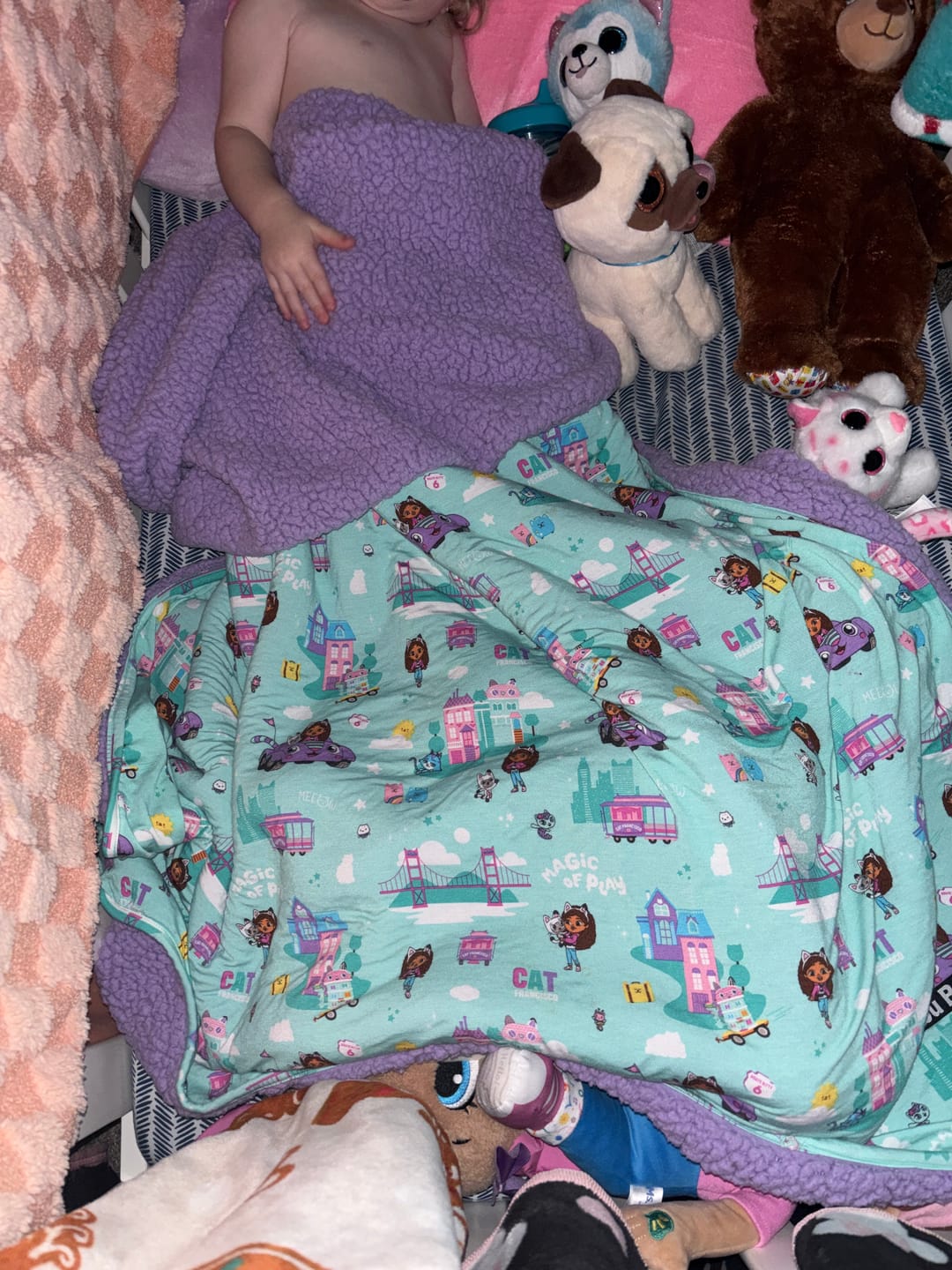 Customer photo review of Gabby's Dollhouse: Cat Francisco Bamboo Sherpa Blanket