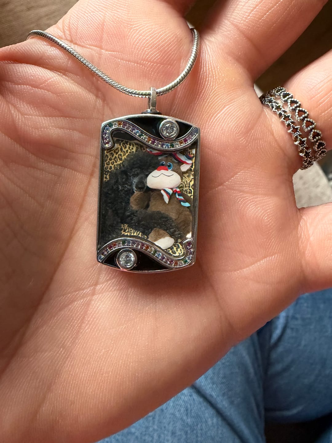 Customer photo review of Rainbow Bridge Pet Ashes Necklace