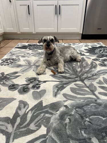 Customer photo review of Floral Bloom Grey Washable Rug