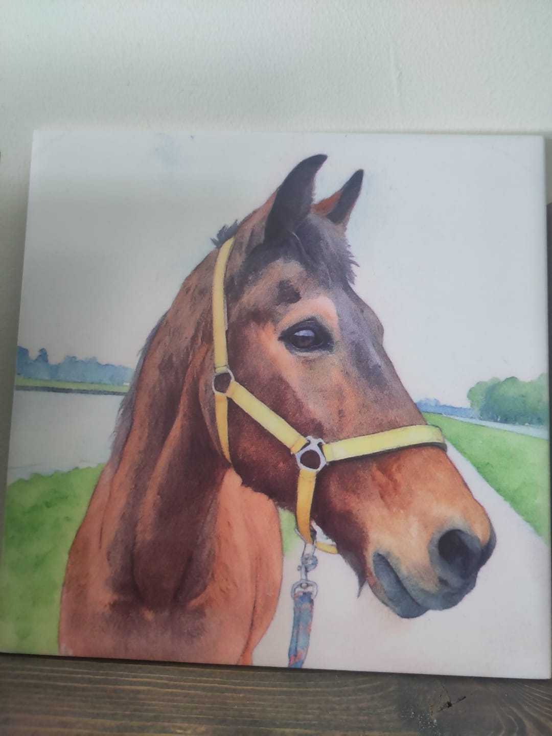 Customer photo review of Gepersonaliseerd tegeltje met eigen foto in waterverf stijl