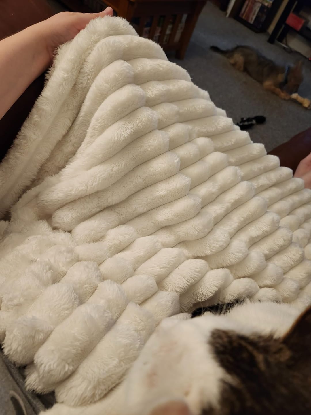 Customer photo review of Cloud Fleece Blanket