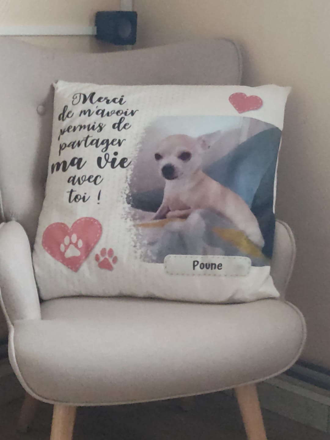 Customer photo review of Merci - Coussin personnalisé