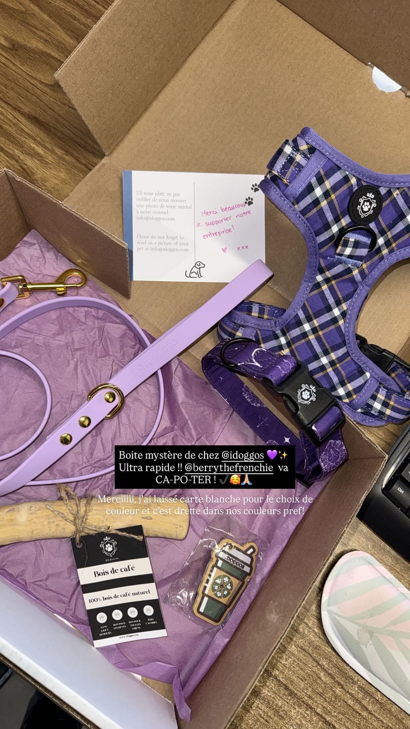 Customer photo review of Mystery Box - Dog
