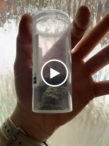 Customer video review of Bubble G - 26% THCA Flowers | Hybrid