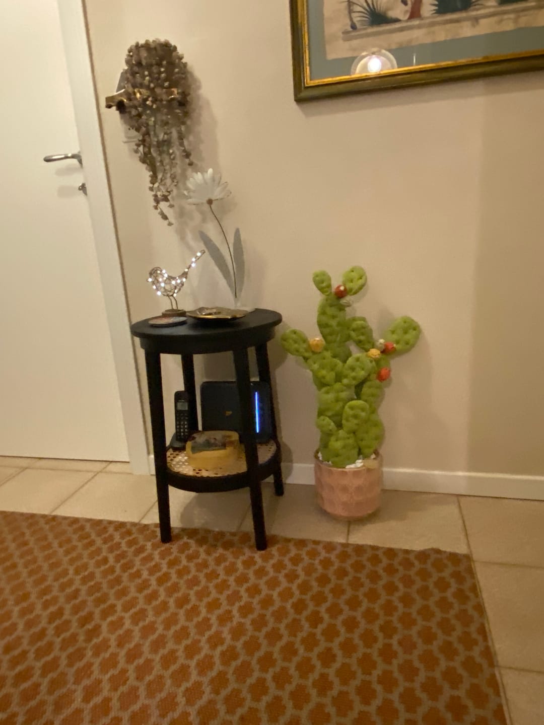 Customer photo review of Opuntia Oversize 80 cm circa, vaso rosa delicato *** RISERVATA***