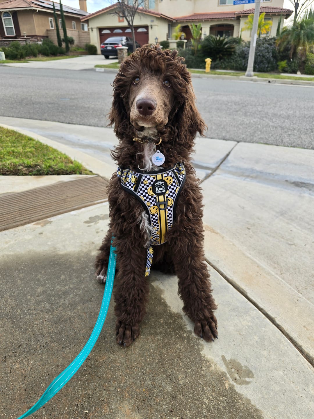 Customer photo review of Happy Squares - Adventure Harness