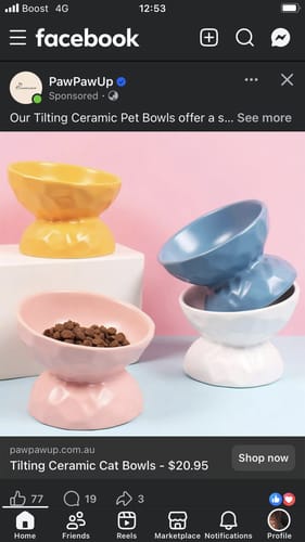 Customer photo review of Tilting Ceramic Cat Bowls With Uneven Texture