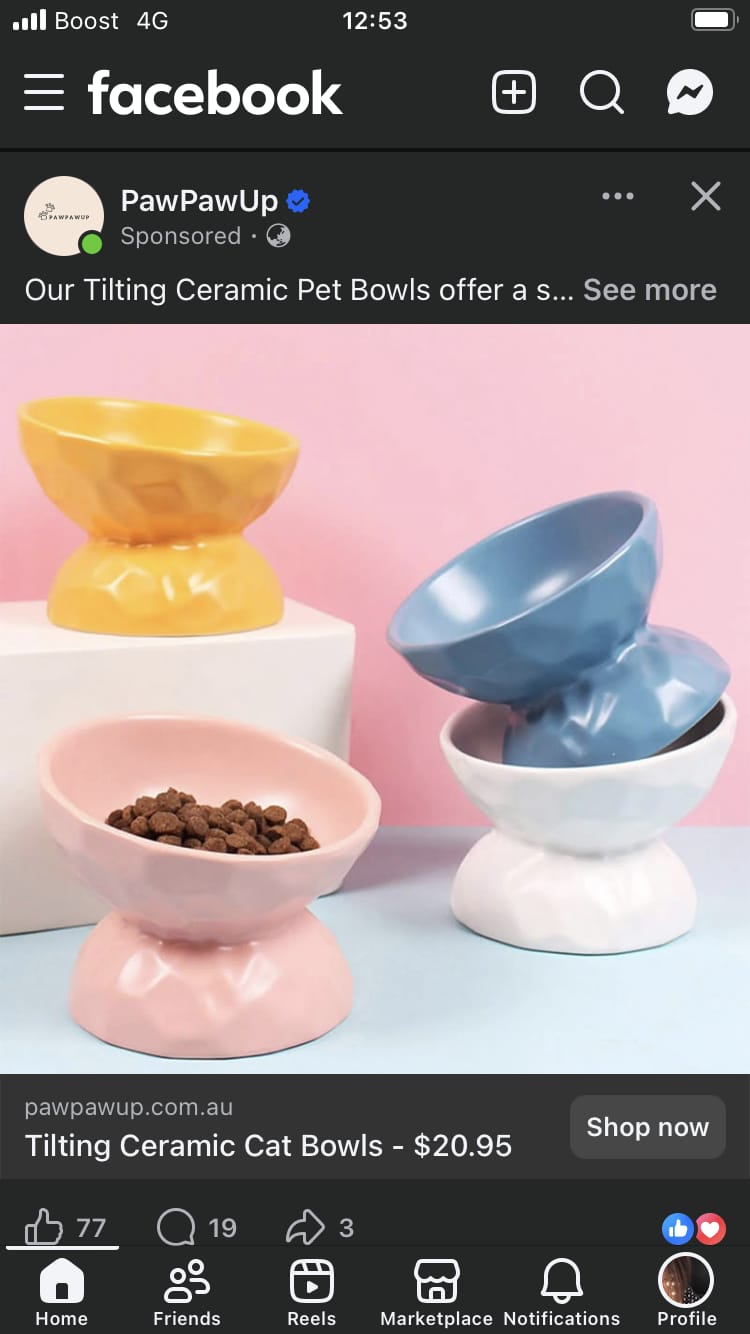 Customer photo review of Tilting Ceramic Cat Bowls With Uneven Texture