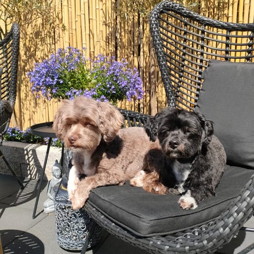 Customer photo review of Jouw Foto in Karikatuur Stijl - Gepersonaliseerde Tegel