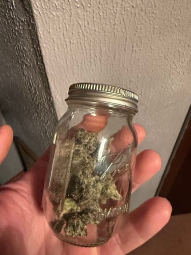 Customer photo review of Purple Trainwreck - Indoor - 4 Grams - Sativa