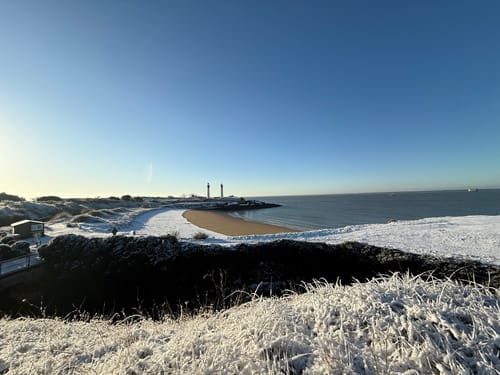 Customer photo review of Alpha Labz - OCEAN PRIME