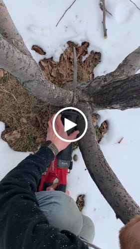 Customer video review of Tree Trimming/Wood Cutting – Japanese Teeth 6 TPI Reciprocating Saw Blade