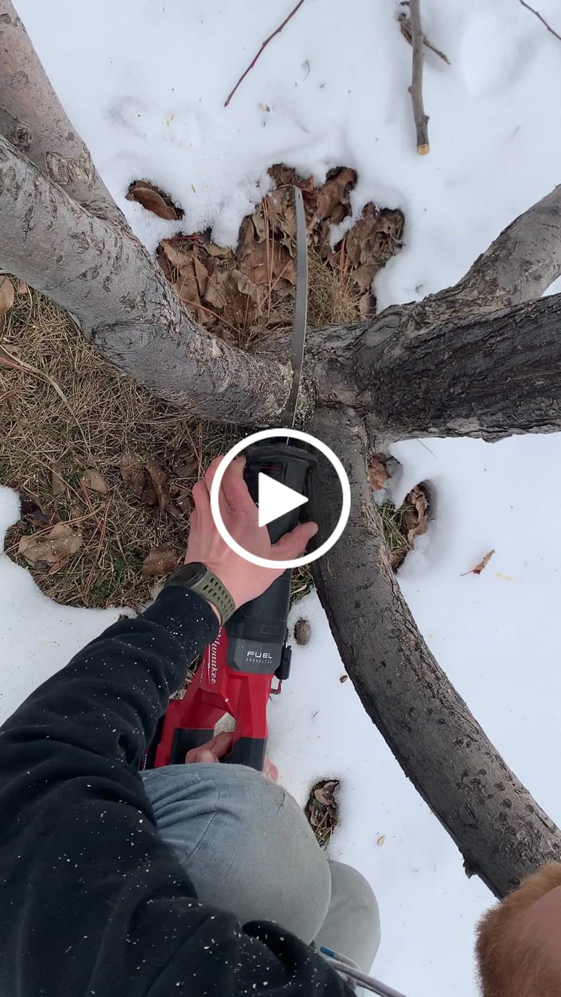 Customer video review of Tree Trimming/Wood Cutting – Japanese Teeth 6 TPI Reciprocating Saw Blade