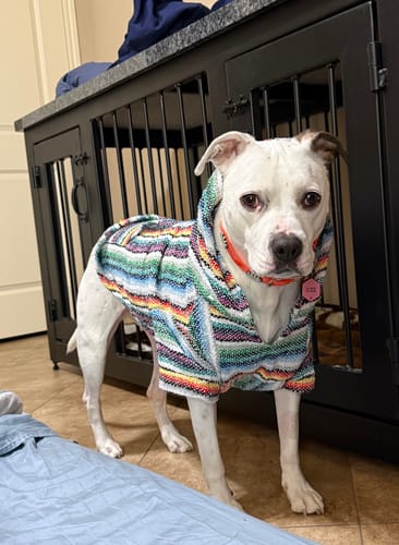 Customer photo review of Free & Easy Return or Exchange Coverage + Package Protection