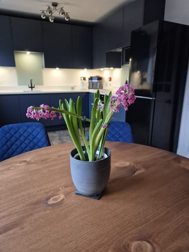 Customer photo review of Round Dining Table