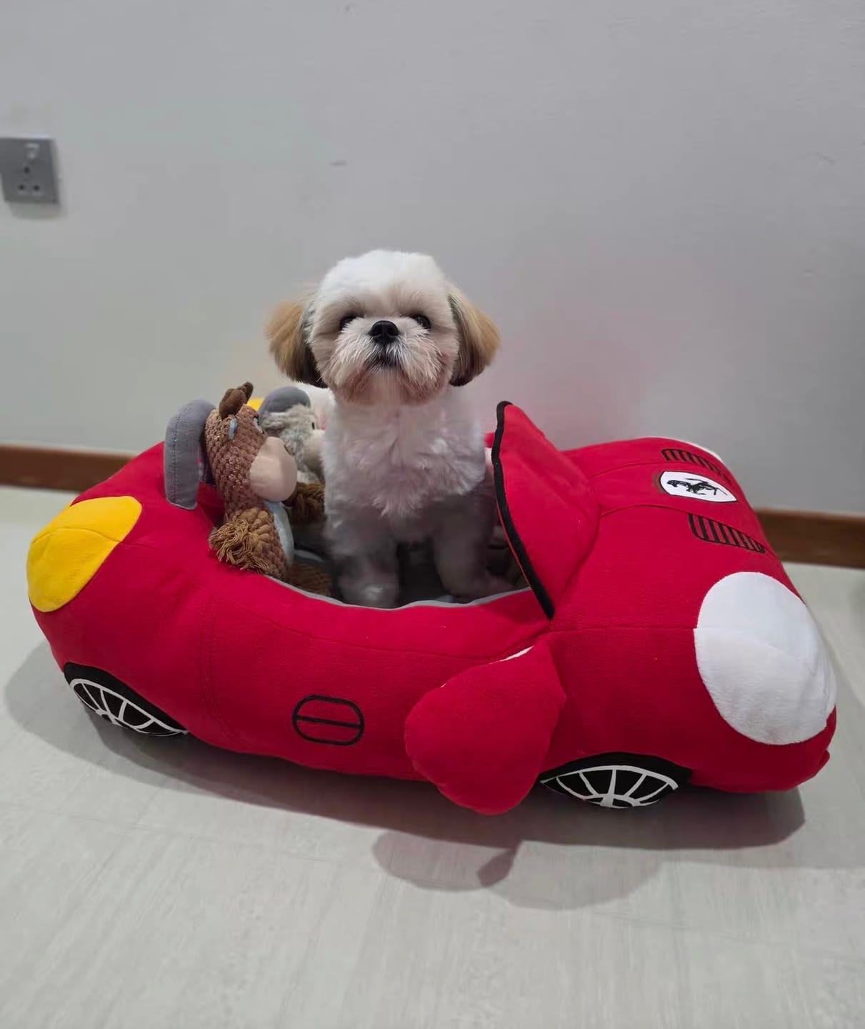 Customer photo review of Furcedes Sports Car Bed