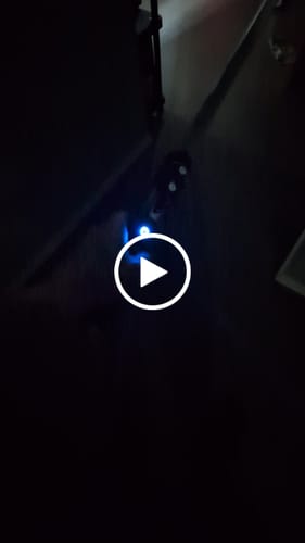 Customer video review of The Fallen II