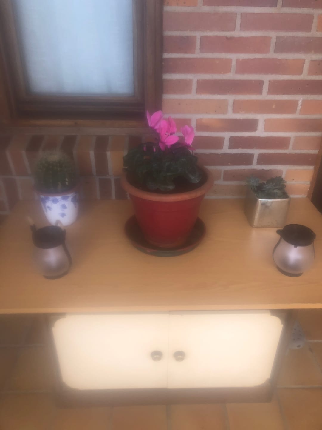 Customer photo review of LlamaViva | Farol con Efecto de Fuego Realista