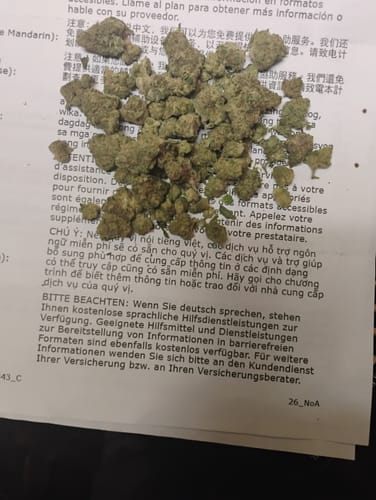 Customer photo review of Berry Gelato - 28 Grams - Indica