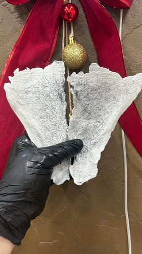 A reviewer's gloved hand holding two pieces of used White Coral Wax, showing many coarse hairs that have been removed.