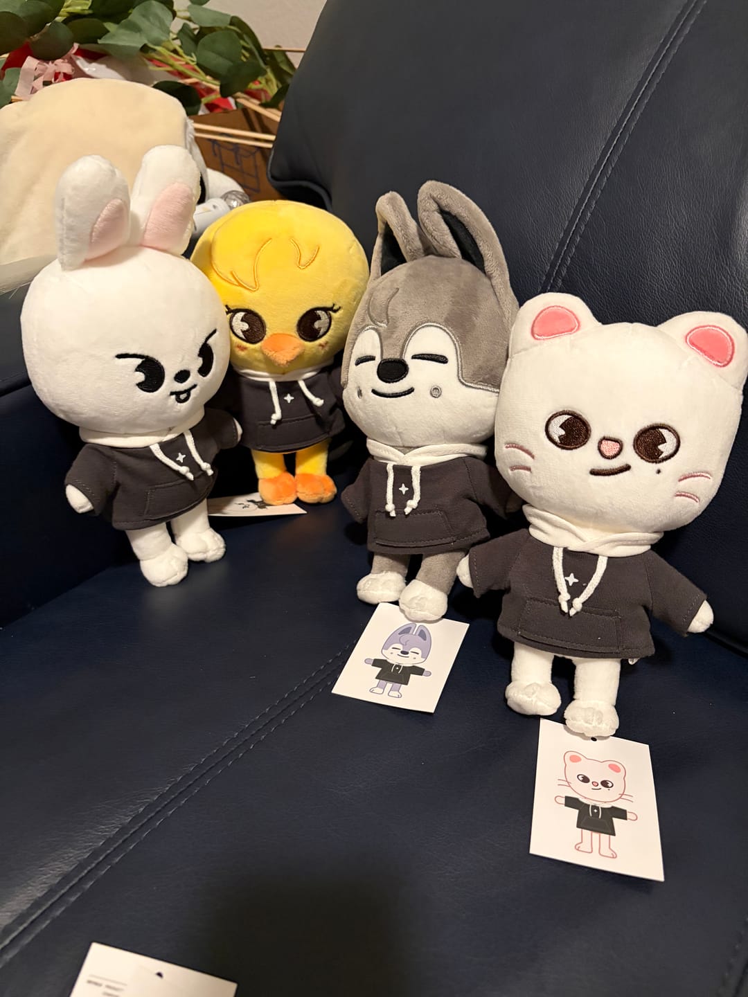 Customer photo review of STRAY KIDS - SKZ'S MAGIC SCHOOL OFFICIAL MD SKZOO PLUSH ORIGINAL VER.
