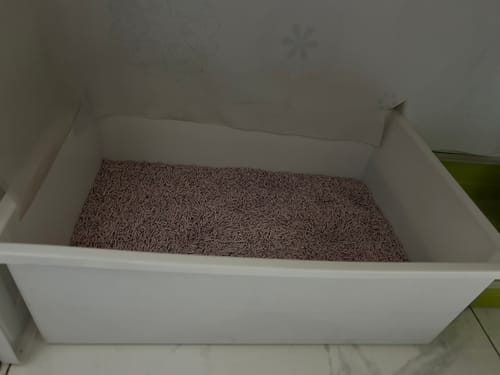 Customer photo review of [ 免運 6入/箱 ] PANI 99%無塵豆腐砂-原味 薰衣草 綠茶 7L (2.8kg) x 6入/箱