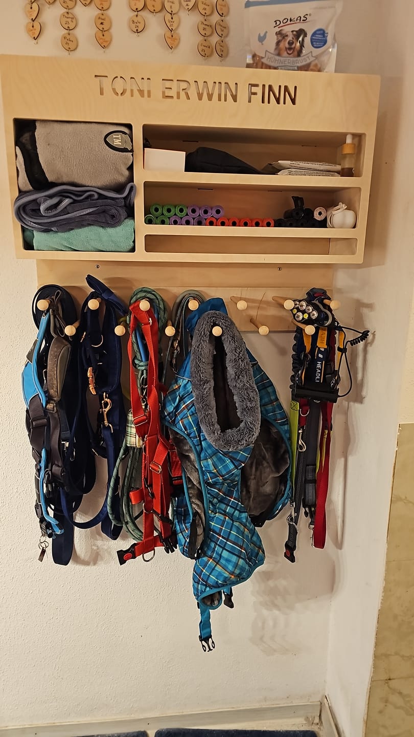 Customer photo review of Dogstation Deluxe