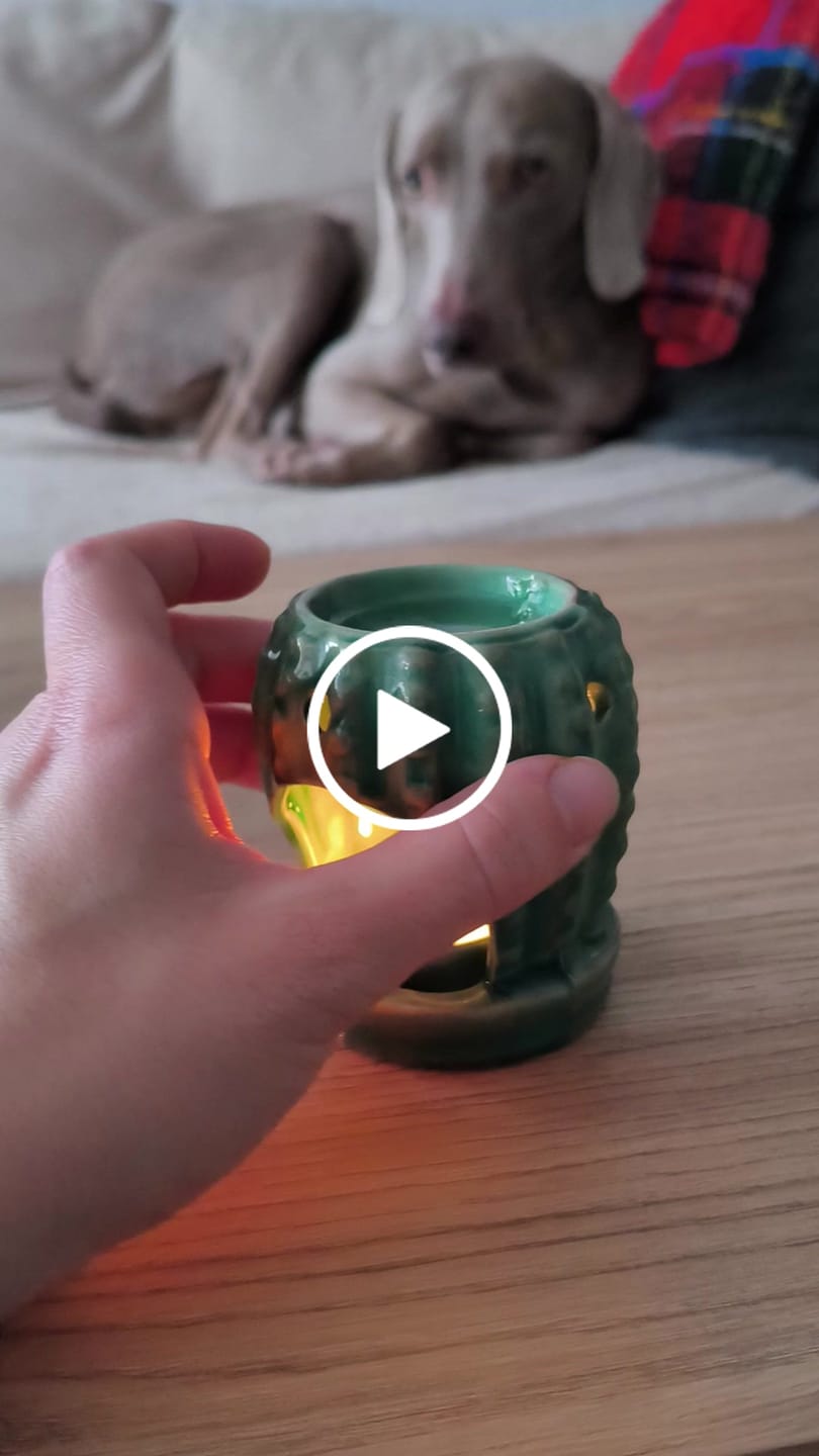 Customer video review of Mini Quemador “Cactus”