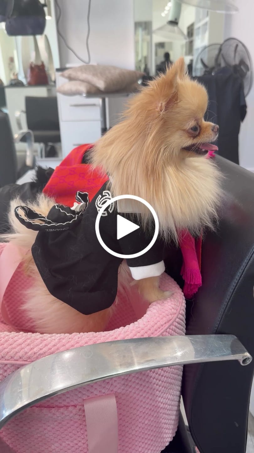 Customer video review of Premium Shipping
